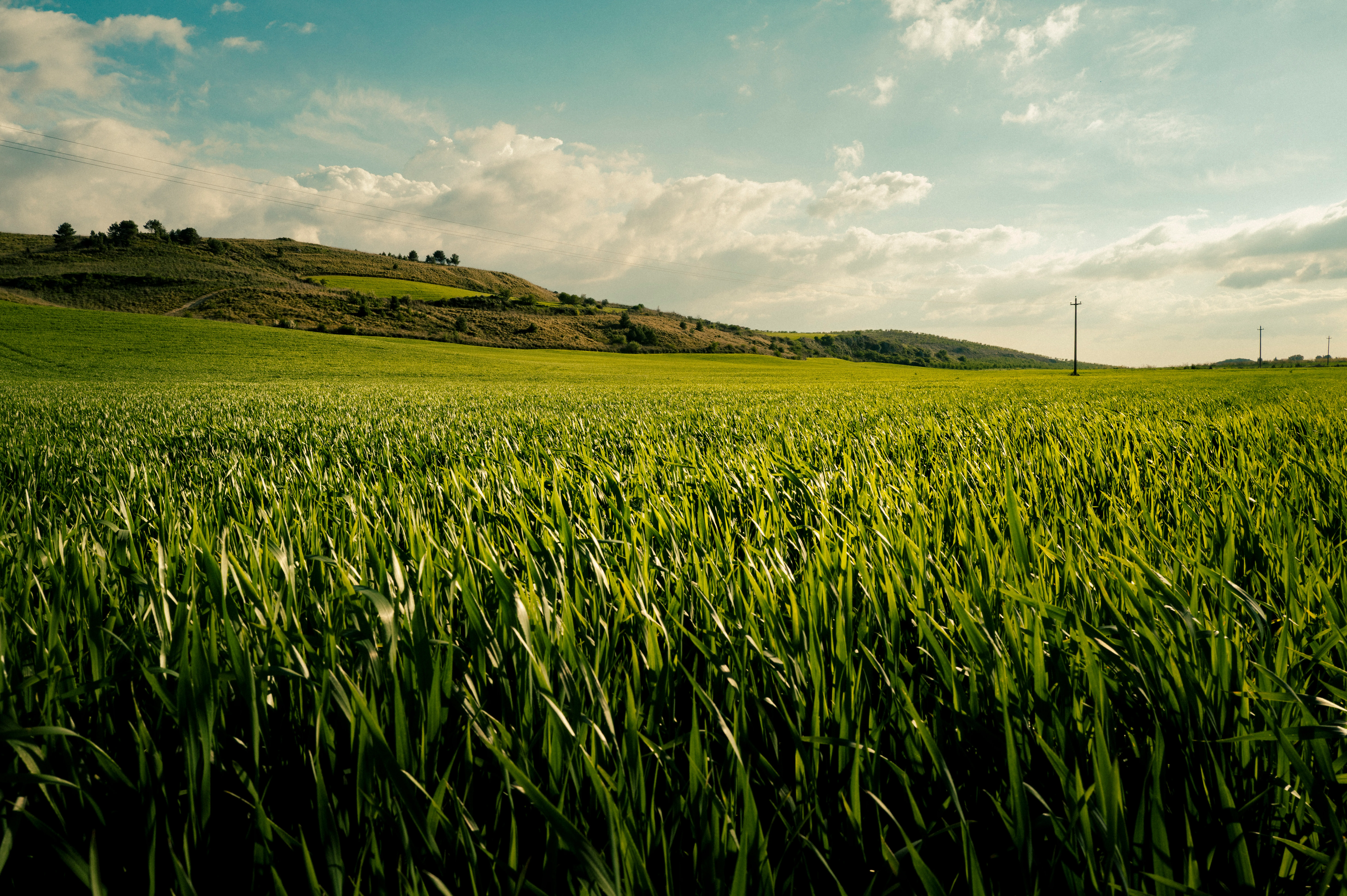 Inner Sicily in green